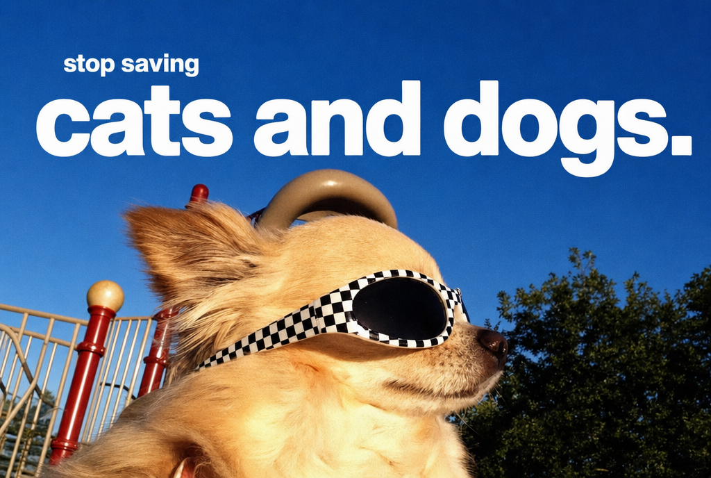 Stop saving specific cats and dogs
